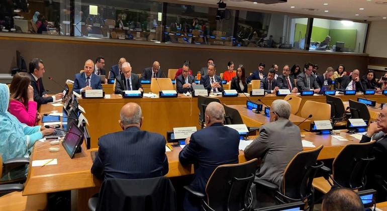 UN News/Abdelmonem Makki