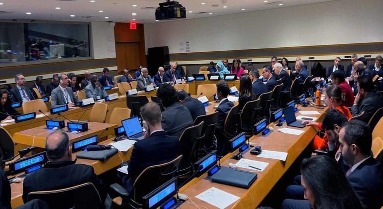 UN News/Abdelmonem Makki