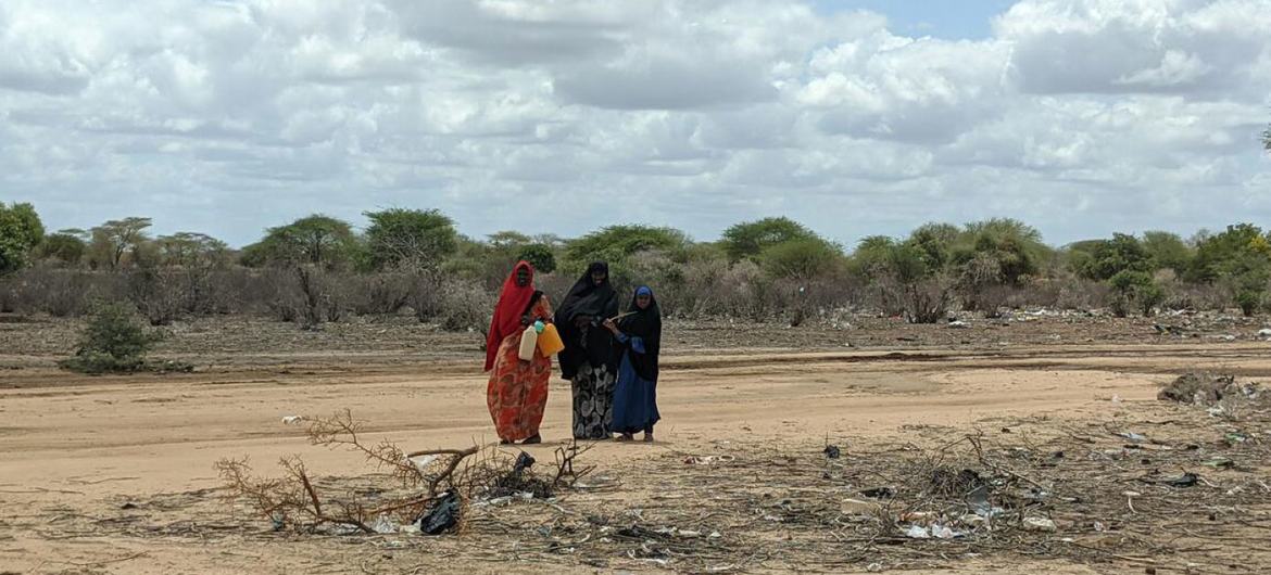 © UNHCR/Joel Gallardo | وصل الجفاف المدمر في الصومال إلى مستويات غير مسبوقة، حيث تم تسجيل مليون شخص الآن على أنهم نازحون داخل البلاد.