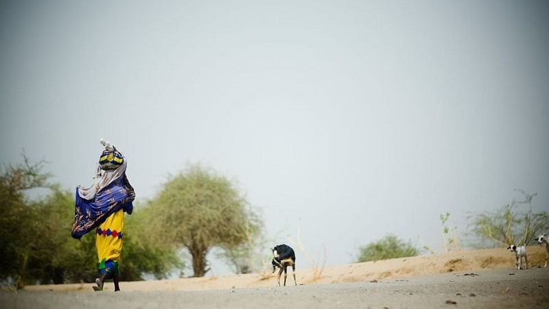 تشاد، إحدى الدول الأكثر تأثر بالتغير المناخي، بحسب التقرير